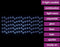 vidaXL - Lichtsnoergordijn - sterren - met - 500 - LED's - en - 8 - functies - blauw