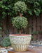 NYSSA - Bloempot - Groen - ⌀ 50 cm - Terracotta