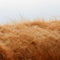 Customize it - Tuinschilderij hoogl liggend 130x70