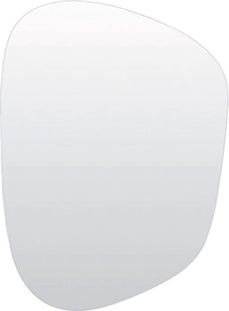 Light&living Spiegel 45x1,5x61 cm ALGEZA helder glas