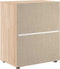 vidaXL - Dressoir - VISNES - 60x40x73 - cm - spaanplaat - sonoma - eikenkleurig