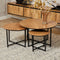 Salontafel RichWood - Set van 3