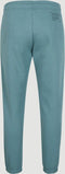 O'Neill Future Surf Jogger - Joggingbroek - Katoen en gerecycled polyester - North Atlantic