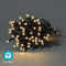 Nedis SmartLife - Kerstverlichting - Wi-Fi - 50 LED's - Warm Wit - 5.00 m