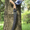 TerCasa tuinzaag - gebogen - blad 33 cm - met kunststof houder - JU-998500