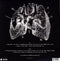 Florence + The Machine - Lungs - LP - Indiepop met krachtige zang