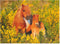 Ravensburger puzzel Shetland pony´s - Legpuzzel - 100 stukjes
