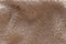 Designed by Lotte Tico - Draagtas Hond - Pluche uitneembare binnenvoering - Beige - 42x20x35 cm