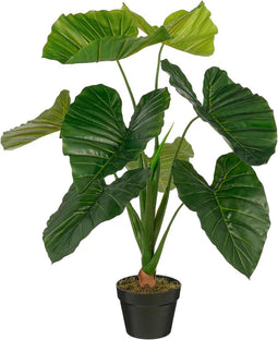 Mica Decorations Kunstplant Taro - 60x60x90 cm - Polyethyleen - Groen