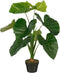 Mica Decorations Kunstplant Taro - 60x60x90 cm - Polyethyleen - Groen