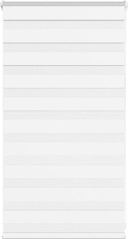 vidaXL - Zebra - blind - 70x100 - cm - stofbreedte - 65,9 - cm - polyester - wit