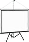 vidaXL - Projectiescherm - met - statief - 4:3 - 60''