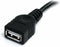 Startech USBEXTAA6BK - USB 2.0 A Male naar USB 2.0 A Female - 1.83 m - Zwart