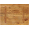 Tafelblad rechthoekig 80x60x3,8 cm massief mangohout