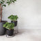 Menu Plantenbak Wire Pot - Zwart