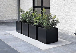 Quadrus vierkante Aluminium plantenbakken Lengte: 800 Breedte: 800...
