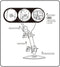 Joy Factory MagConnect - Bureau Stand - Carbon Fiber - Universeel
