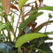 Ap-combi pack special offer 5 pots