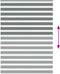 vidaXL - Zebra - rolgordijn - 155x200 - cm - stofbreedte - 150,9 - cm - donkergrijs