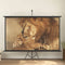 vidaXL - Projectiescherm - 4:3 - 50''