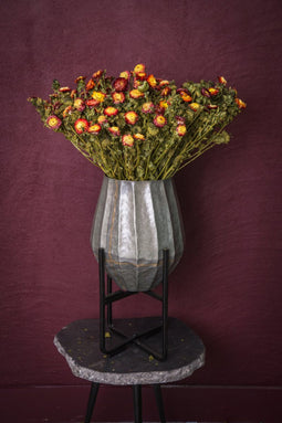 PTMD Gedroogde Bloem Tuinbloemenstruik - 35 x 15 x 65 cm - Rood