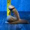 Realistische Dildo Gender X Gender X Siliconen Ø 3,5 cm