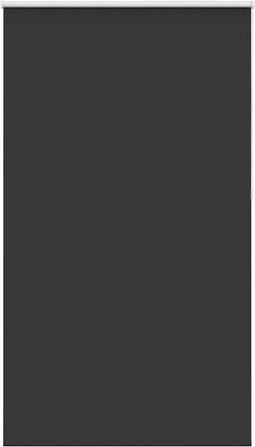 vidaXL - Rolgordijn - verduisterend - 125x210 - cm - stofbreedte - 121,6 - cm - zwart