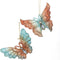 4-4.3 inch Plastic Teal & Desert Rose Butterfly Orn 2/Asstd 5x5x10...