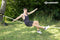 Schildkröt Slackline 15m - Slackline - Tot 150 kg - Geel