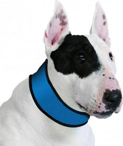 Aqua Coolkeeper collar - pacific blue - XXL