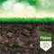 Pokon Bio Kuur - Gazon - Verhoogt vitaliteit - 500ml