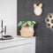 Housevitamin Zeegras mand- Stip -Ø 35cm
