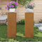 vidaXL - Buiten - Plantenstandaard - Pillar - 2 - stuks - 24x24x75 - cm - Weerbestendig - Staal
