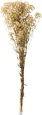 J-Line droogbloemen - Bundel Gypsophilia Gedroogd - ecru