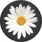 PopSockets PopGrip White Daisy