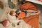 Kinderkamer Vloerkleed Veggie Garden Lorena Canals