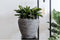 Capi Europe - Vaas taps rond Rib NL - 42x38 - Antraciet - Opening Ø31 - Bloempot voor binnen en buiten - Levenslang garantie - Breukbestendig - 100% Recyclebaar - CO2 Neutraal geproduceerd - KOFZ362