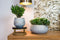 Ter Steege Plantenpot/bloempot - keramiek - metallic zilvergrijs/touch of gold - D23/H25 cm