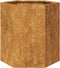 vidaXL - Plantenbak - zeshoek - 46x40x45 - cm - weervast - staal
