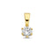 Marie Celeste hanger - Fantasiehanger - 14 karaat goud - Zirkonia