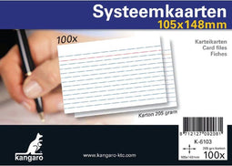 Systeemkaarten a6 105x148mm 100 stuks