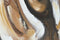 Schilderij Home ESPRIT Koloniaal Tijger 80 x 3,7 x 100 cm (2 Stuks)