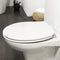 Tiger Boston - WC bril - Soft Close - Easy Clean - Duroplast - Wit / Chroom