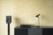 Pro-Ject Primary E Phono - Platenspeler - Ingebouwde phono voorversterker - Zwart