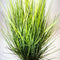 Gifts Amsterdam Kunstgras In Pot King Festuca 60 Cm Groen