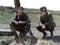 Band Of Brothers - Blu-ray - Klassieker over Easy Company (2001)