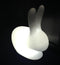 Nachtlamp kinderkamer lamp Konijn LED 16 kleuren RGB wit oplaadbaar 45 cm