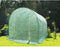 Tunneltuinkas - 6 m2 - 140g polyethyleen canvas & 18mm diameter stalen buis