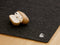 Oakywood AirPods 3 Hoesje - Echt Hout Eiken - Luxe AirPods Case Bescherming