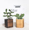 Oakywood Cubic Plant Pot - Massief Walnoot - Luxe Houten Kleine Plantenpot Bureauaccessoire